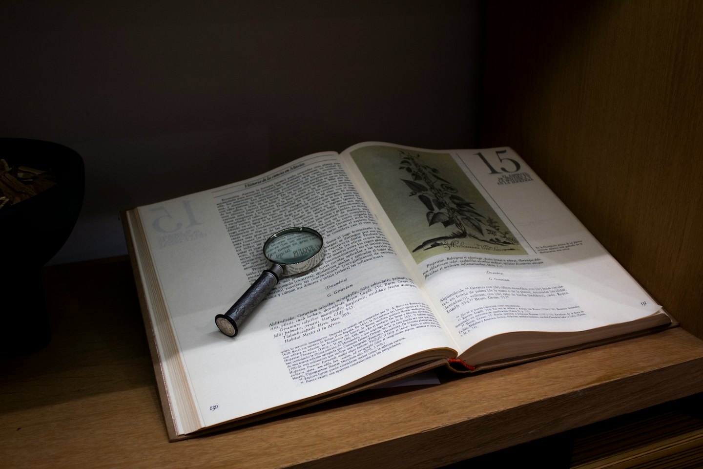 Antique magnifying glass on an open, old book.