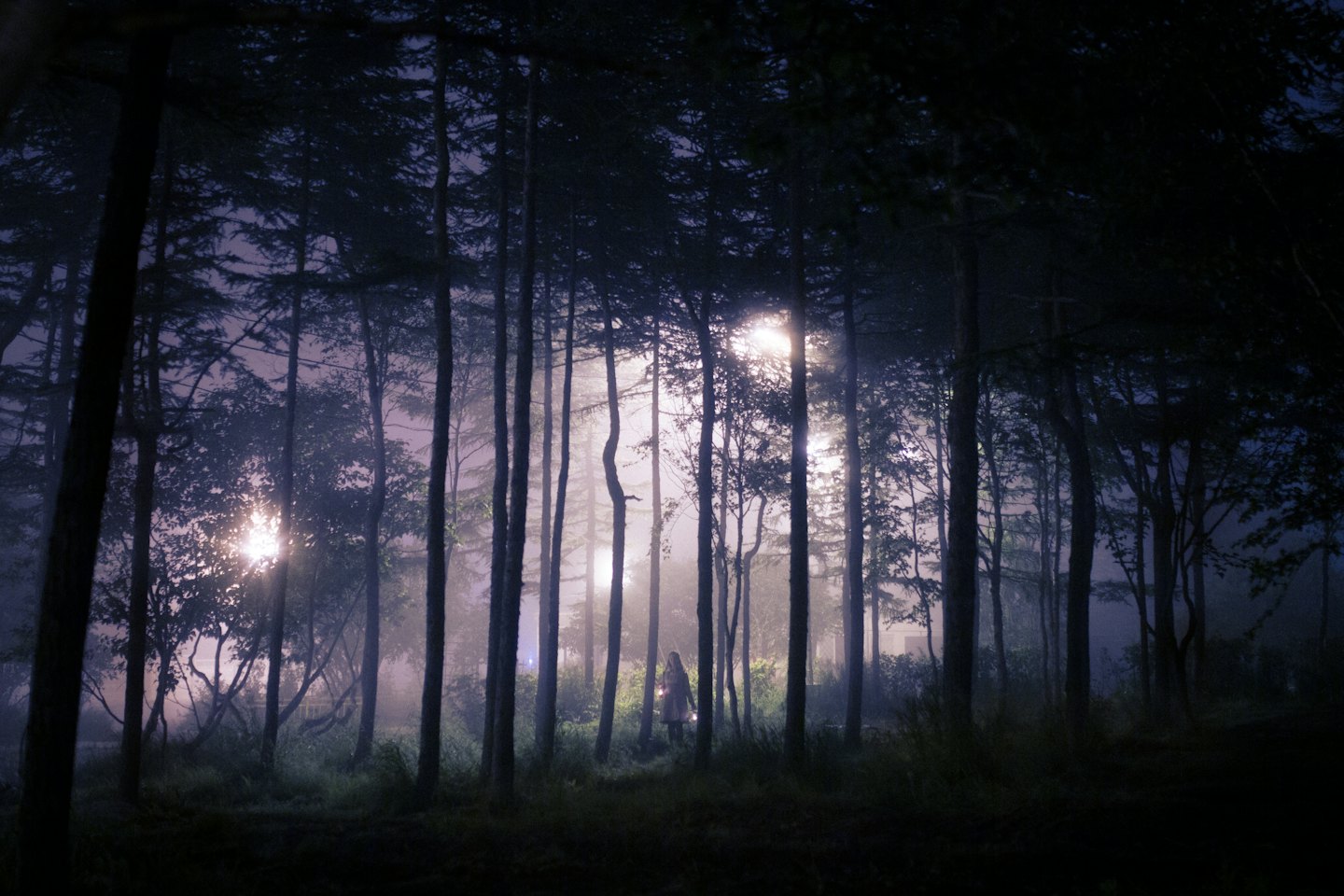 A person walks through a misty forest holding a lantern.