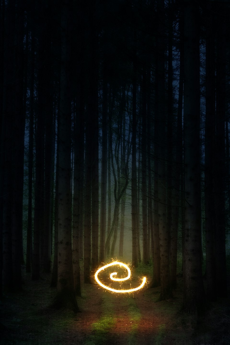 A golden spiral of light illuminates a mossy forest floor.